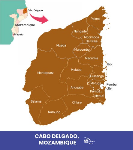 4 años de conflicto bélico en Cabo Delgado Mozambique