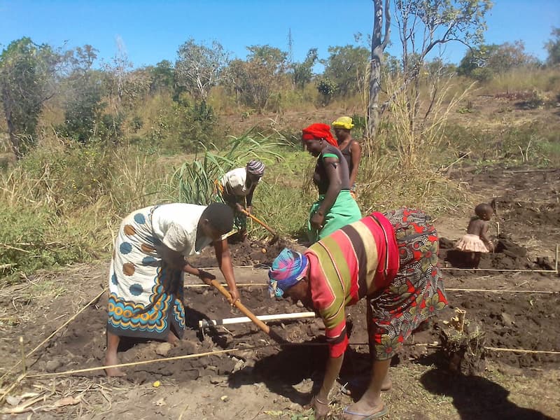 El proyecto de fortalecimiento de la resiliencia de familias campesinas ejecutado por la Fundación APY y la Unión Provincial de Campesinos de Cabo Delgado con la financiación de la AECID, continúa avanzando en 2021
