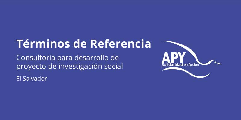 Oferta de consultoría para desarrollo de proyecto de investigación social sobre Violencia basada en Género en El Salvador