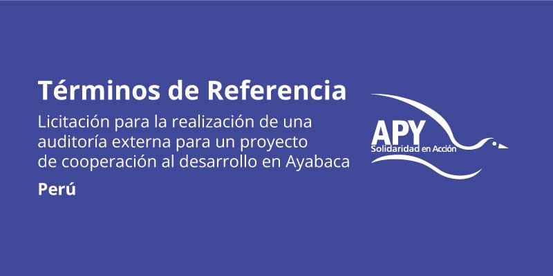 Propuesta de licitación para la realización de una auditoría externa para un proyecto de cooperación al desarrollo en Perú