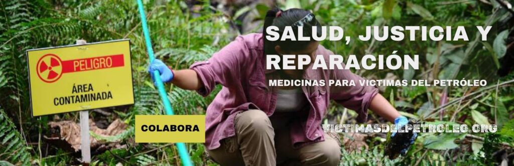 Imagen y página web salud justicia y reparacion campaña apy udapt