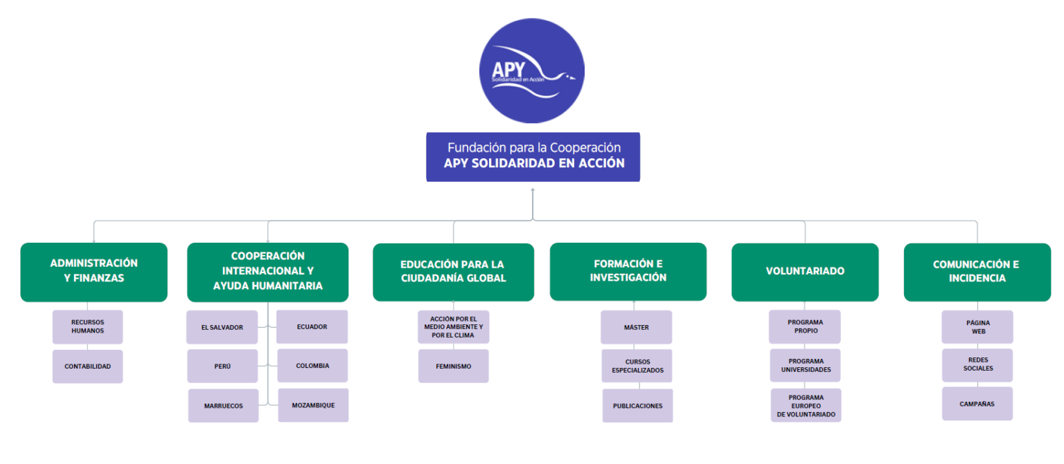 organigrama apy 2025