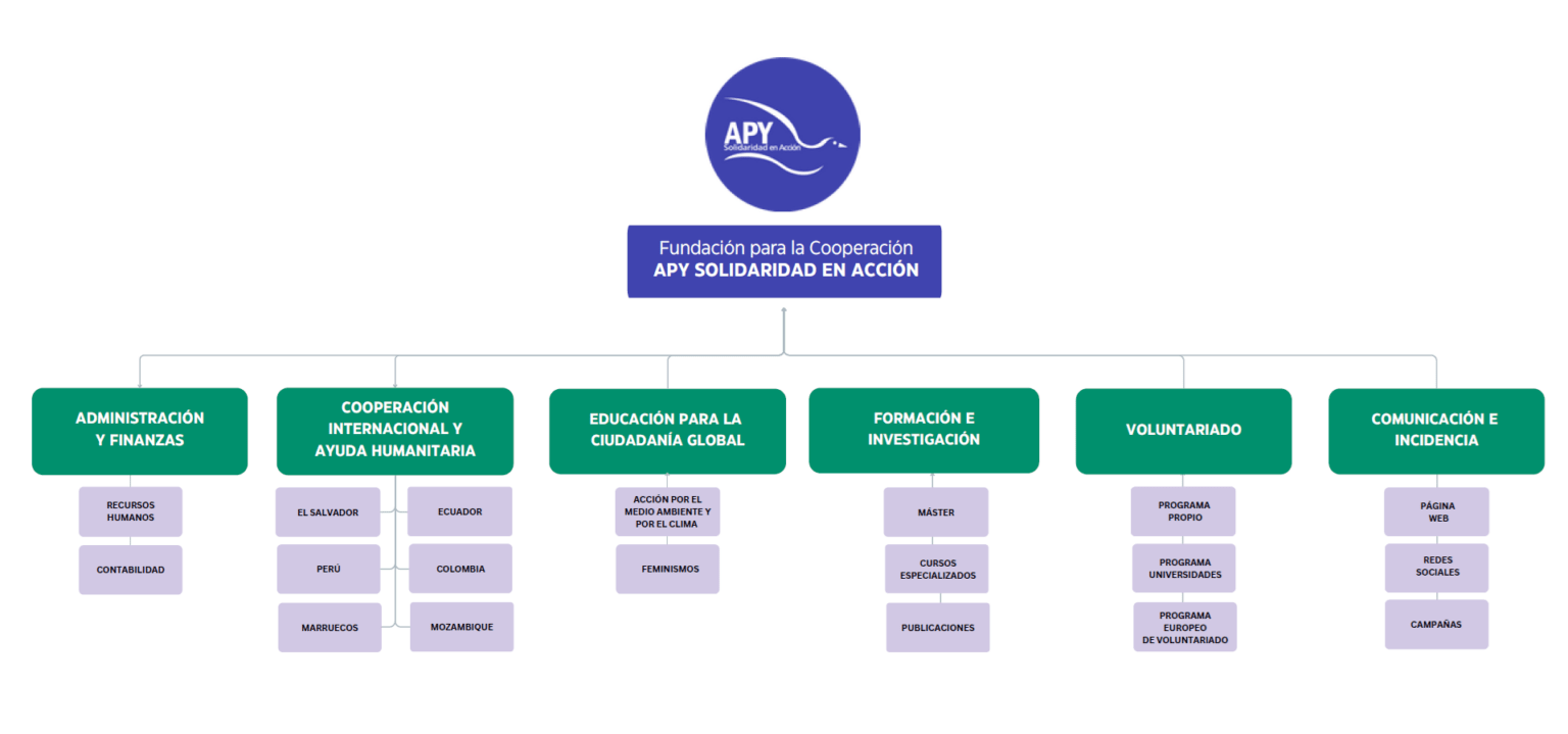 Organigrama APY 2025