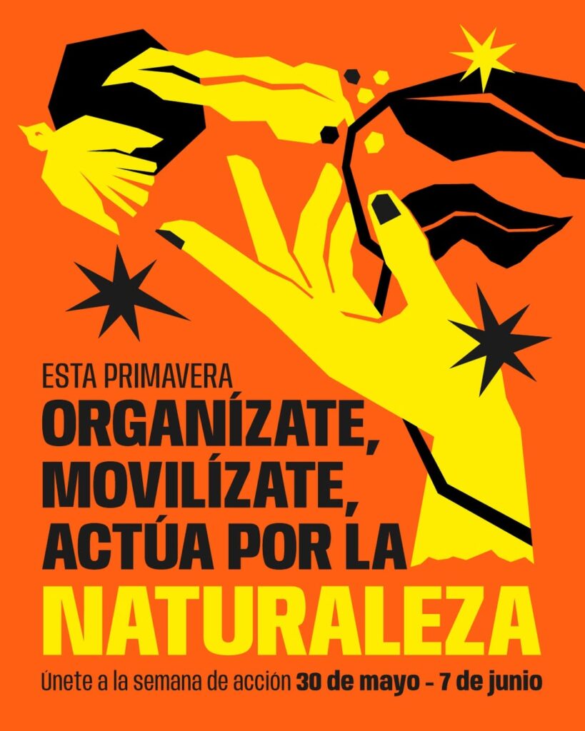 Esta primavera de 2026 organízate y levántate por la Naturaleza