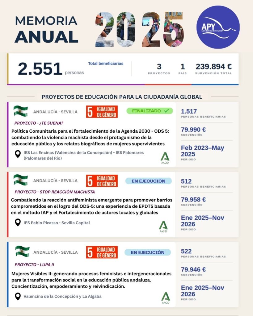 Infografía de proyectos de educación para la ciudadanía global (2025) Fundación APY
