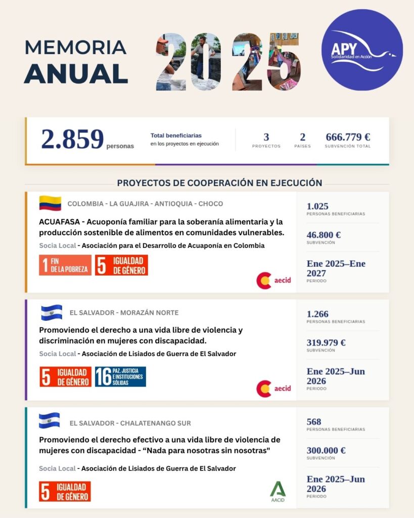 Infografía proyectos en ejecución APY 2025