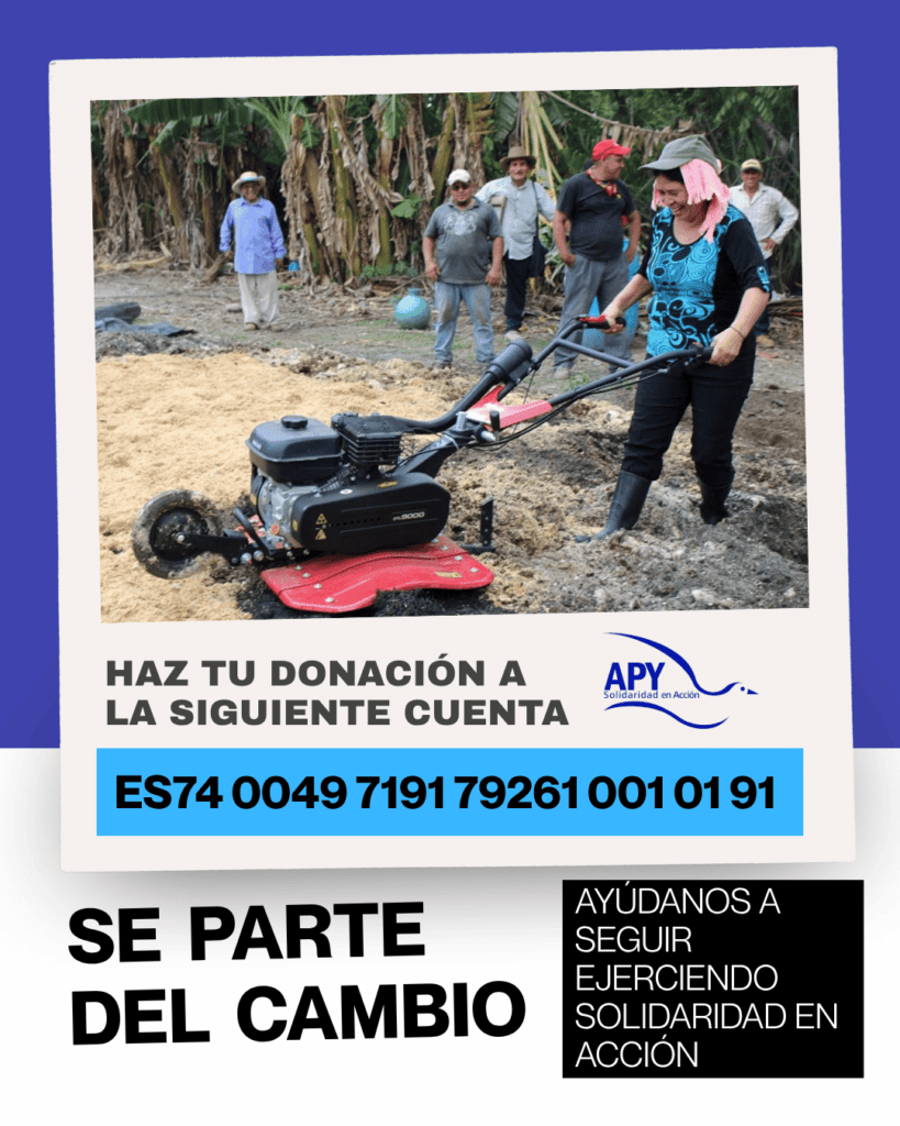 Haz una donación a fundacion apy
